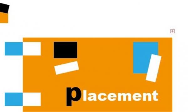 Opportunit&agrave; di Placement.