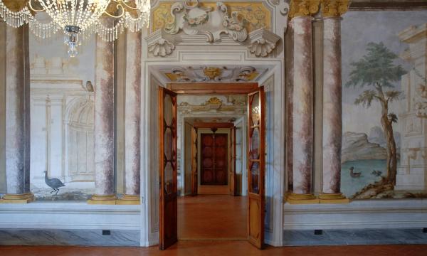 Visite gratuite nei musei universitari.